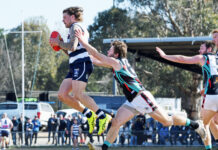 Bulldogs blast sets the scene