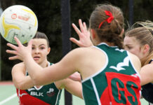 Adding Seagulls to the mix!