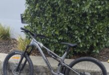 Thieves crush teen’s dream