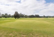 Community questions golf course, lights and cultural centre