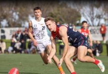 Casey’s Hardie in hot form