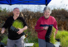 Helping bandicoots bounce back