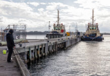 Port of Hastings Terminal “controlled action”