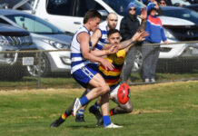 Neerim South roar home