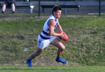 Wilson claims top gong