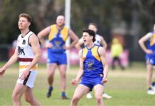 Triple Nelson hits Berwick