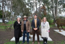 Lang Lang artwork officially revealed