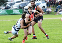 Joel Hillis – 2025 by the numbers