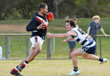 Desperate Dales meet Panthers in prelim blockbuster