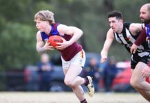 Lions hunting undefeated season and back-to-back flags