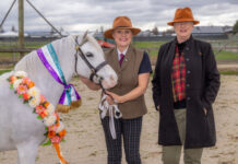 Horse show gallops on