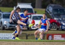 Tom Toner – 2025 by the numbers