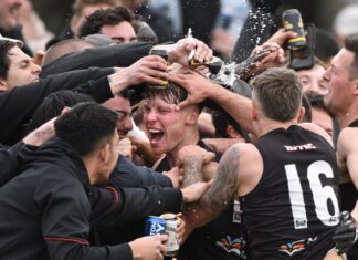 Redbacks bask in the glory