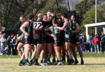 Glorious step to the summit