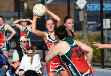 Spirited Seagulls still alive