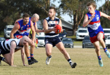 Trump cards on the table