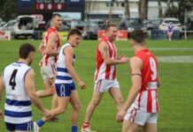 Playing-coach stars in Cats triumph