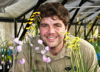Spring in bloom at Royal Botanic Gardens Cranbourne