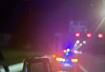 Berwick P plater caught at 196km/h