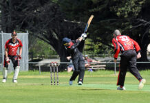 Cobras get past Yabbies