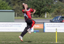 Bulls teach Lions a lesson