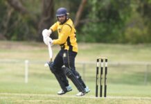 New-look Tigers ready to roar