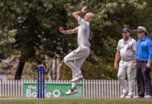 Bears poised for big win