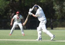 Bears poised to pounce