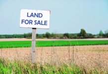 Farmland values plateau