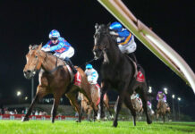 Jigsaw finds the missing piece to the puzzle