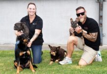 Q&A with Amanda and Chris, Egan owners of Karinya Farm