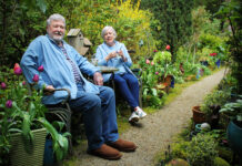 Exhibition honours Hills seniors