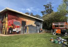About Town: Murals galore and new rup rail petition