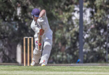 Panthers beaten by reigning premier St Kilda at Shepley Oval