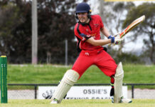 Mulqueen stars for Gulls