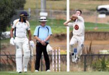 Dust off the whites, get out the sunscreen, cricket has arrived