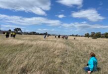 Day celebrates unassuming rarity