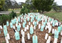 Funds for Landcare Grants
