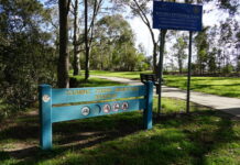 True gem tainted by waste