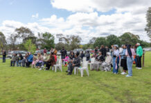 Casey’s African food and music festival