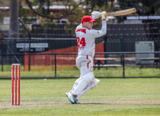 Bloods tame Tigers with deep batting performance