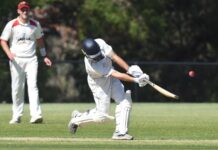 Another win for the Bears