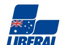 ‘These articles must stop now’ Liberal branch chair blasts press leaks