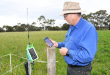 Rooted in Innovation