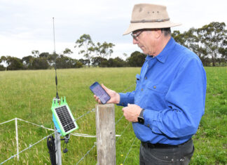 Rooted in Innovation