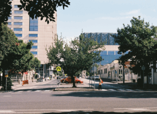 Why Melbourne Businesses Can’t Afford to Ignore Local SEO in 2025