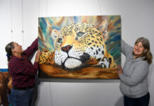 Art shines light on domestic violence