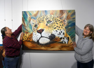 Art shines light on domestic violence