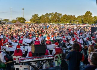 Despite deadlock, council pushes festival grants review