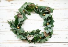 Celebrate Christmas with Heart